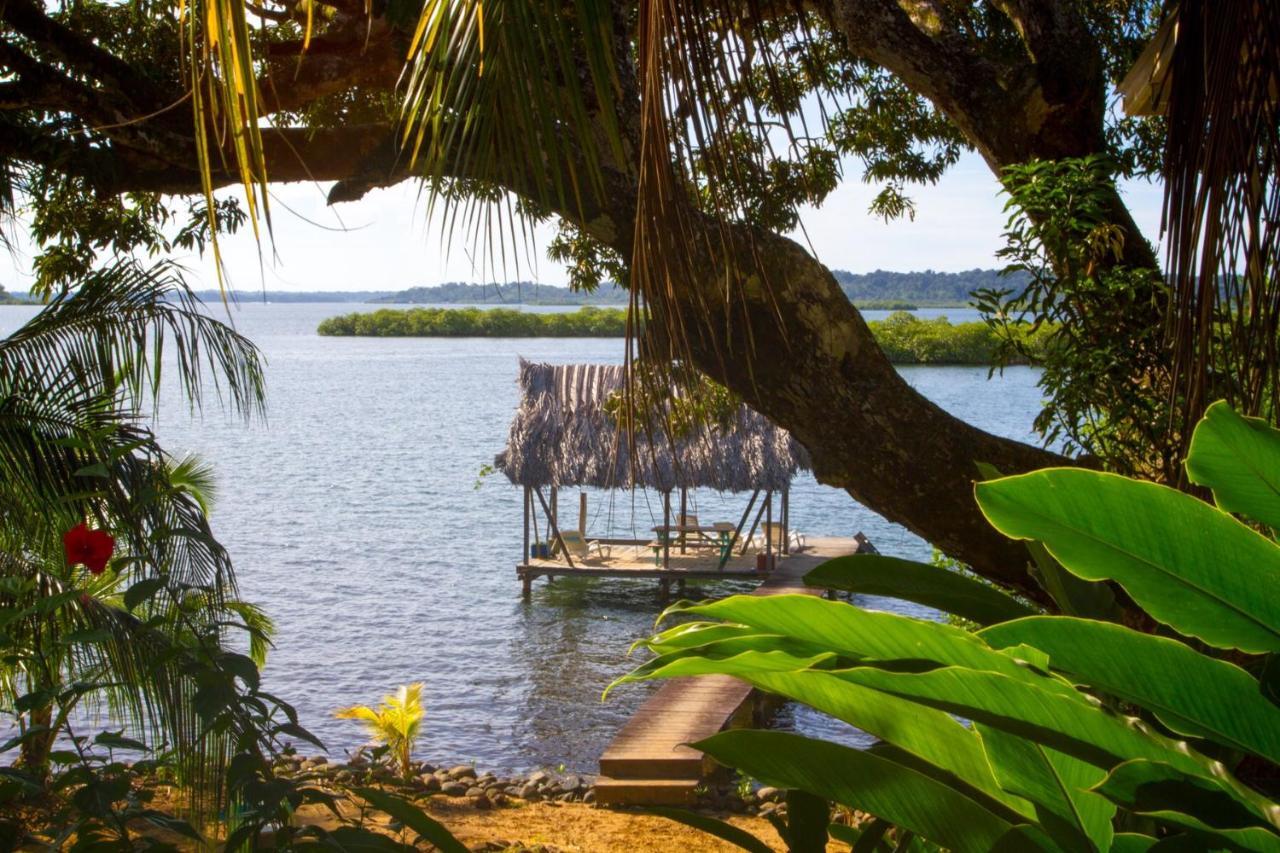 Los Secretos Guesthouse Bocas Town Exterior photo